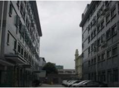 上海梅隴科技信息園助力企業(yè)跨越發(fā)展，筑夢科技未來
