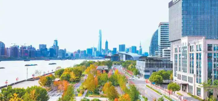 關于印發(fā)《美麗楊浦建設三年行動計劃（2024-2026年）》的通知
