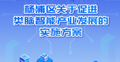 關于印發(fā)《楊浦區(qū)關于促進類腦智能產(chǎn)業(yè)發(fā)展的實施方案》的通知